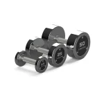Skelcore Chrome Steel Dumbbell Set C