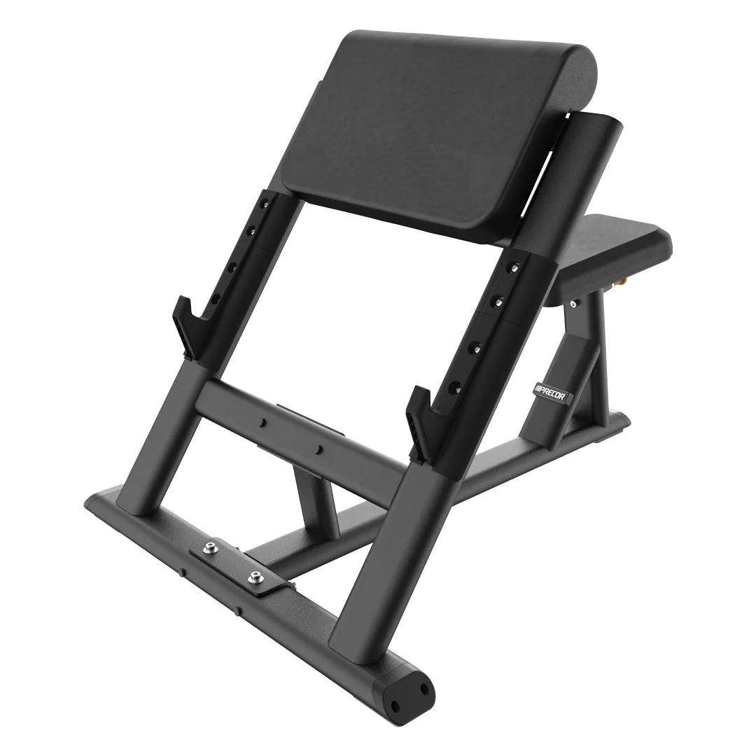 Preacher Curl Bench